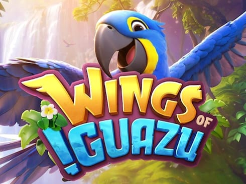 Wings of Iguazu game cover