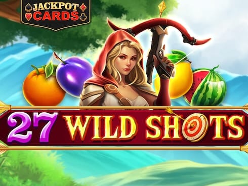27 Wild Shots game cover