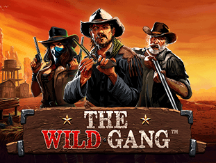 The Wild Gang game thumbnail