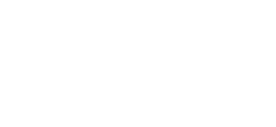 ویزہ کارڈ partner logo